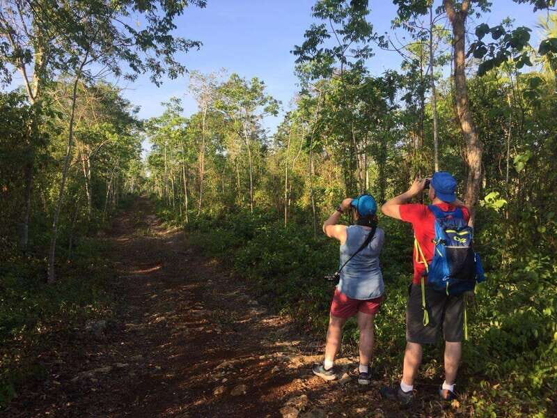 From Cancun: Bird Watching Day Tour - Analyzing the Value: Is it Worth the Price?