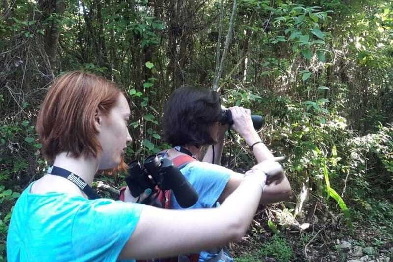 From Cancun: Bird Watching Day Tour - FAQs