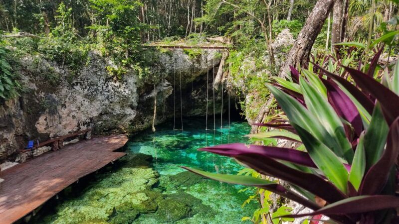 From Cancun: Day Trip to Tulum, Cenote & Playa del Carmen - Authentic Experiences and the Real Value