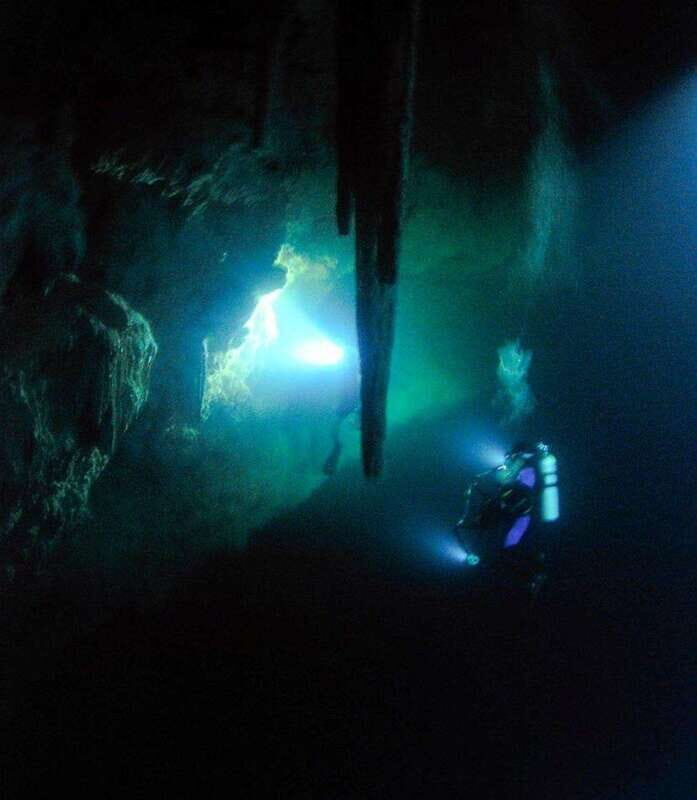 From Cancun: Fast Boat Cozumel Diving Experience - What’s Included and Why It Matters