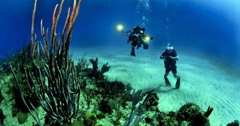 From Cancun: Fast Boat Cozumel Diving Experience - Why This Tour Is a Great Choice