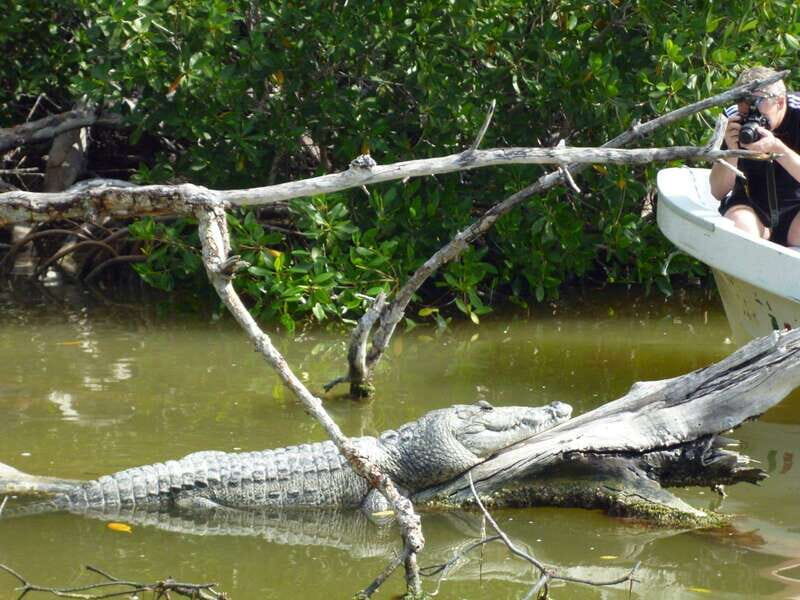 From Cancun: Kantemó Snake Cavern Adventure - What Is the Kantemó Snake Cavern Adventure?