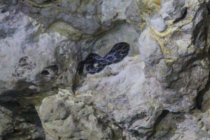 From Cancun: Kantemó Snake Cavern Adventure - What Makes This Tour Stand Out