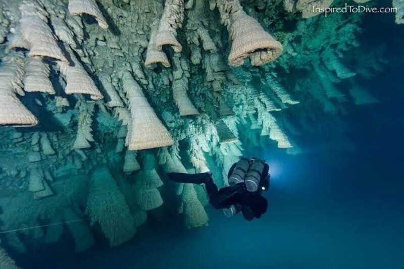 From Cancun: Kin Ha & Hell's Bells Cenote Diving Experience - What the Reviews Say
