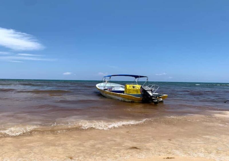 From Cancun: Ocean Reef Snorkeling - The Experience Provider: Arrecife Expeditions
