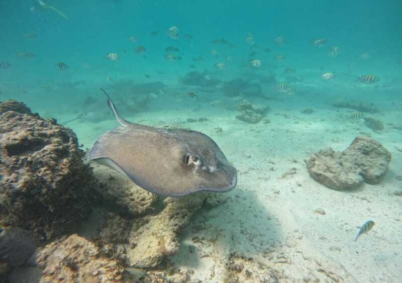 From Cancun: Ocean Reef Snorkeling - Final Thoughts: Is This Tour Right for You?