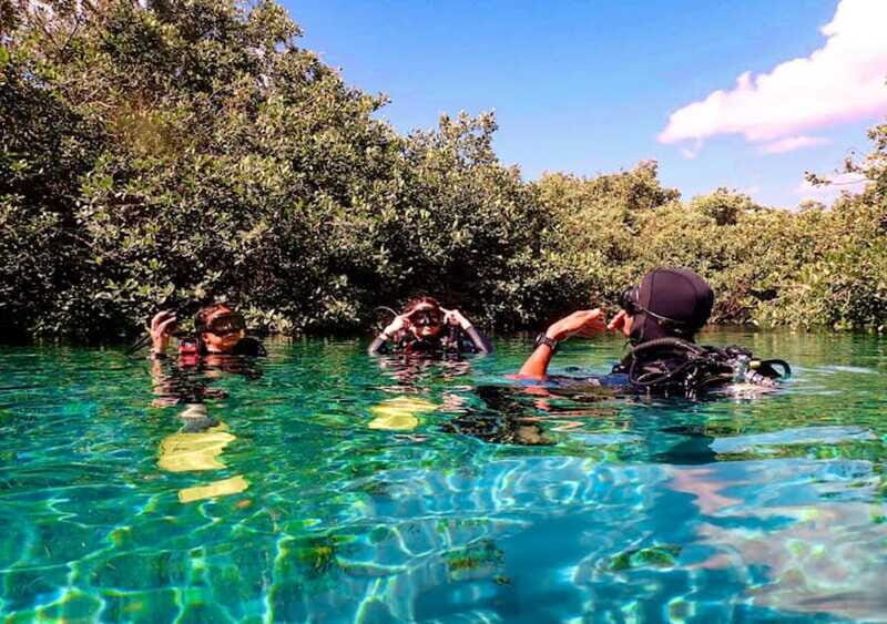 From Cancun: Ocean Reef Snorkeling - Frequently Asked Questions