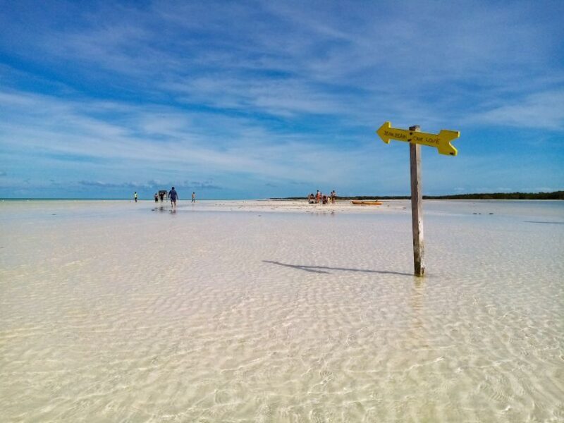 From Cancun or Puerto Morelos: Holbox Boat Tour with Lunch - What Travelers Say
