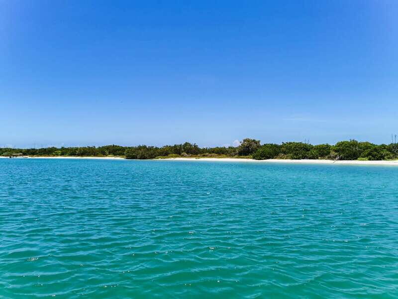 From Cancún: Rio Lagartos & Las Coloradas Day Trip & Lunch - Who Will Love This Tour?