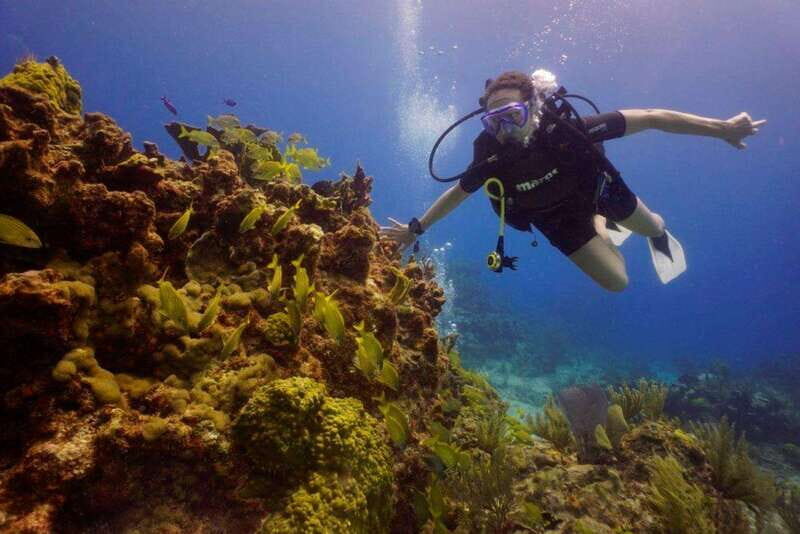 From Cancun: Shipwreck Dives Experience in Puerto Morelos - Key Points