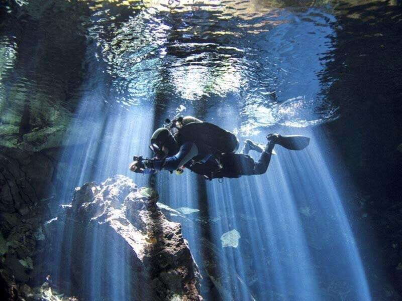 From Cancun: Taj Ma Ha Cenote Diving Experience - Introduction: A Unique Adventure in the Heart of the Jungle