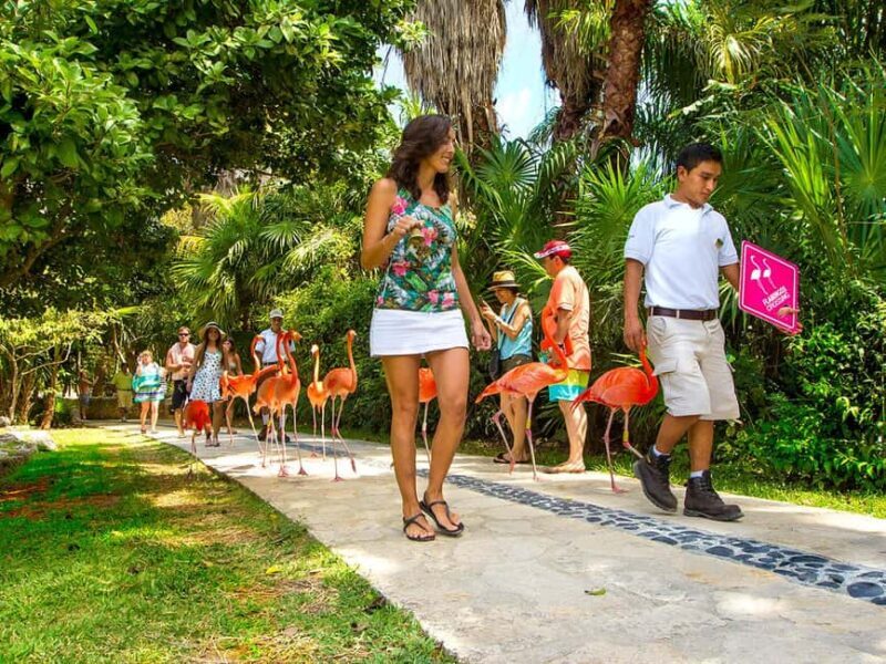 From Cancun: Xcaret Plus Park, the complete experience - Key Points