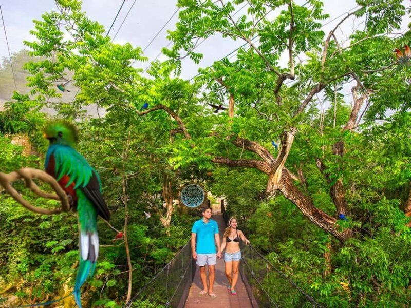 From Cancun: Xcaret Plus Park, the complete experience - The Sum Up