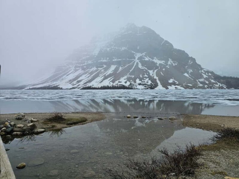 From Canmore/Banff: Icefields Parkway & Abraham Lake Bubbles - From Canmore/Banff: Icefields Parkway & Abraham Lake Bubbles — A Practical Guide for Nature Lovers