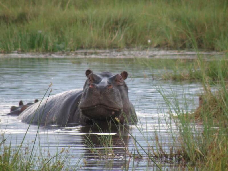From Cape Town: 12-Day Private Tour to Johannesburg - FAQs