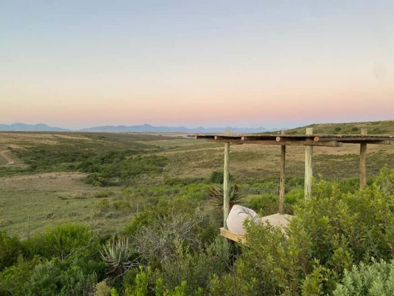 From Cape Town: 2-Day Garden Route Safari (Bonus: Penguins) - Who Should Consider This Tour?