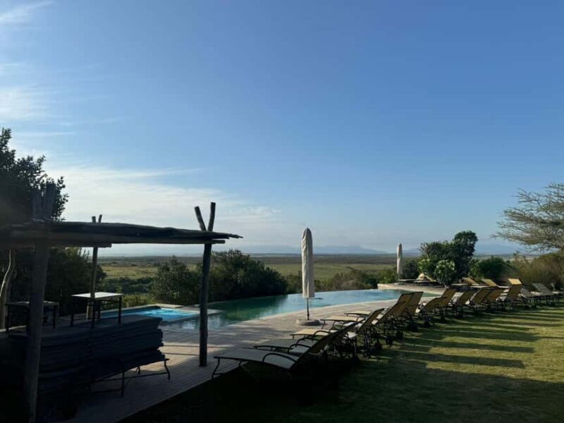 From Cape Town: 2-Day Garden Route Safari - An Authentic 2-Day Escape from Cape Town