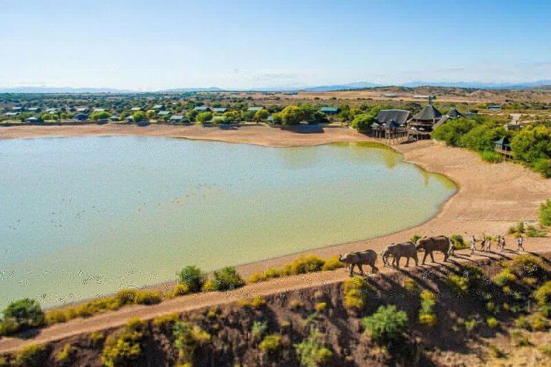From Cape Town: 3-Day Garden Route Highlights and 4x4 Safari - An In-Depth Look at the 3-Day Garden Route Experience