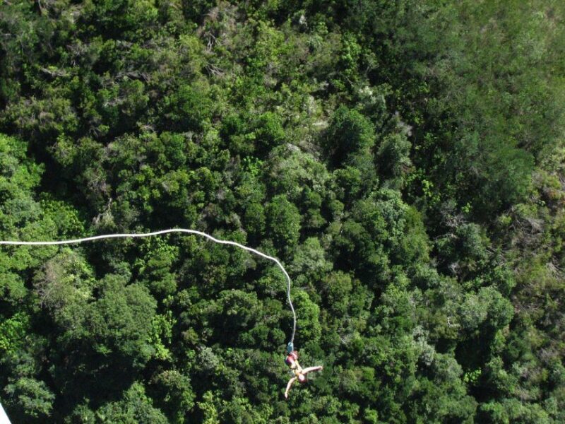 From Cape Town: 3-Day Garden Route Highlights and 4x4 Safari - Who Should Consider This Tour?
