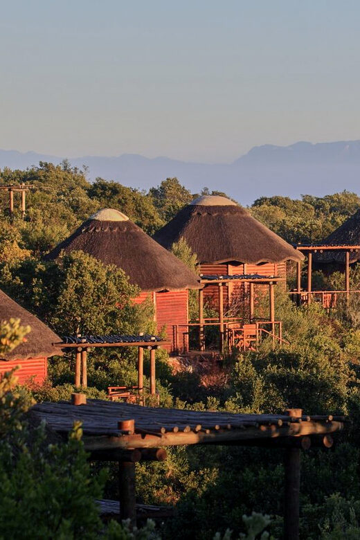 From Cape Town: 3-Day Garden Route Safari and Coastal Tour - A Detailed Look at the 3-Day Garden Route Safari and Coastal Tour