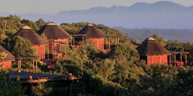 From Cape Town: 3-Day Garden Route Safari and Coastal Tour - Practical Tips for Travelers