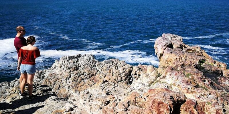 From Cape Town: 3-Day Garden Route Safari and Coastal Tour - The Authentic Touch: What Travelers Say