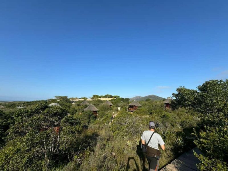 From Cape Town: 3-Day Safari, Penguins & visit to Mossel Bay - What Does the Tour Cost and What Do You Get?