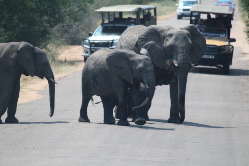 From Cape Town: 3 Days Kruger Safari & Panorama Route Tour - Exploring the Itinerary in Detail