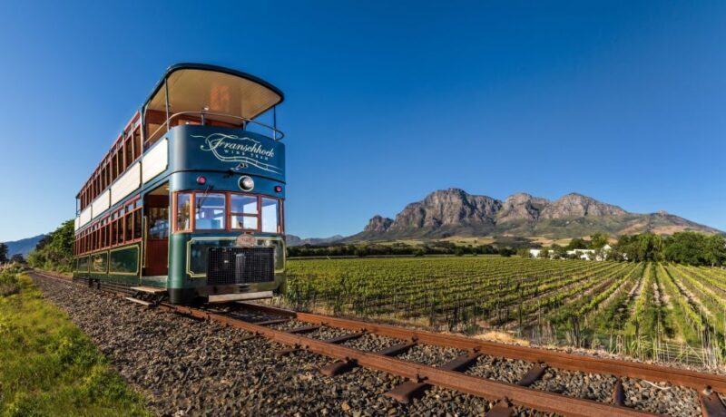From Cape Town: 7-Day Garden Route, Addo and Winelands Combo - Discover the 7-Day Garden Route, Addo, and Winelands Combo from Cape Town
