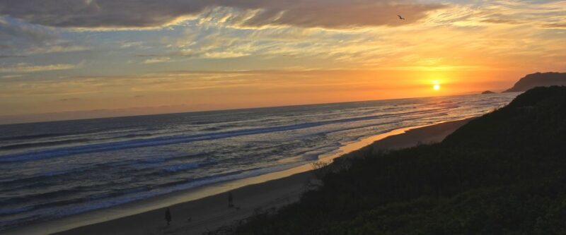 From Cape Town: 7-Day Garden Route, Addo and Winelands Combo - Key Points