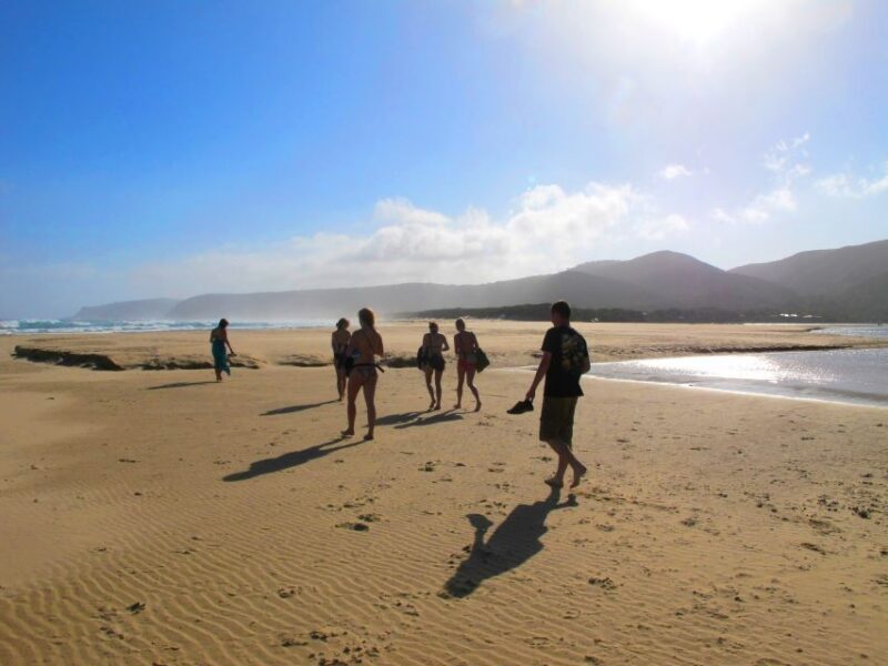 From Cape Town: 7-Day Garden Route, Addo and Winelands Combo - Practical Considerations and Value