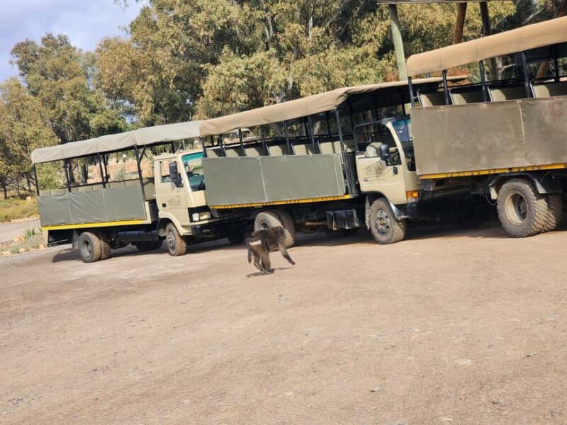 From Cape Town Aquilla sunset safari With transport included - Starting Your Journey from Cape Town