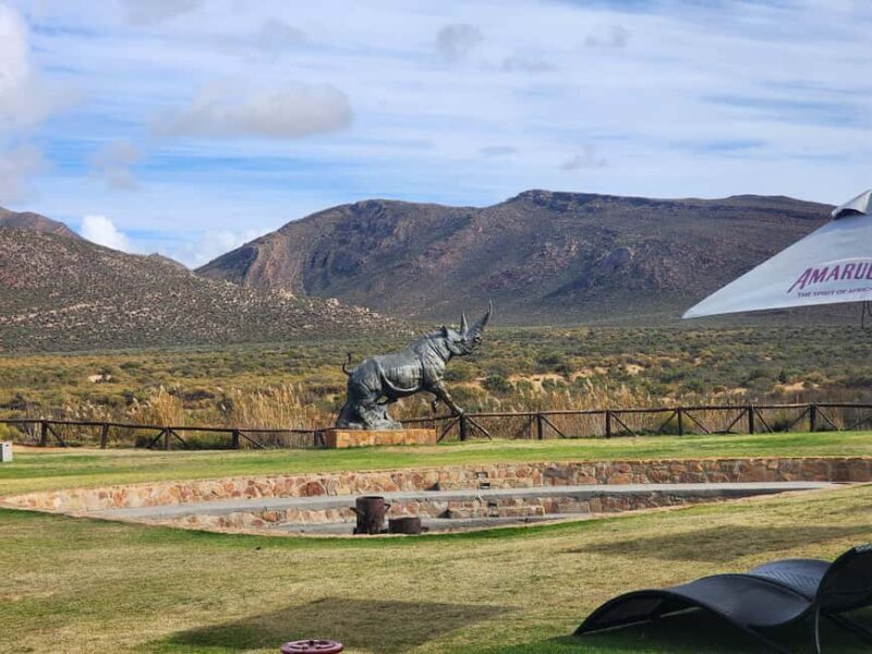 From Cape Town Aquilla sunset safari With transport included - Wildlife Encounters: Big Five and More