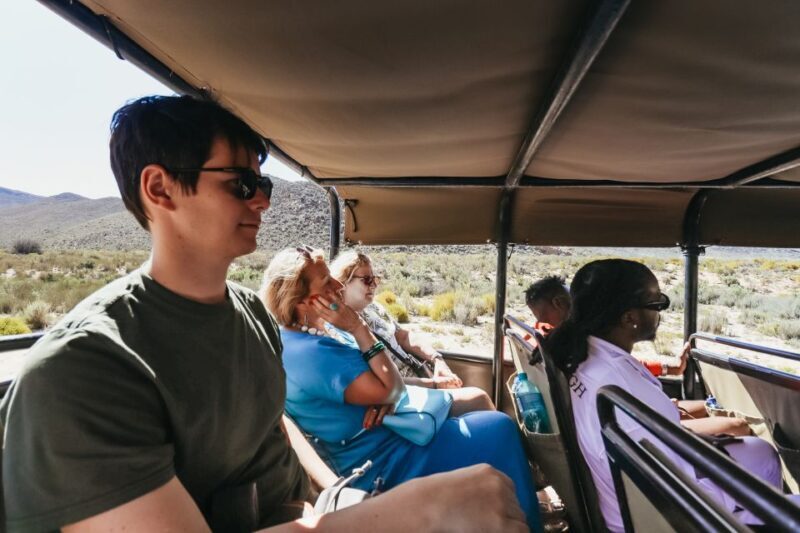 From Cape Town: Big Five Game Reserve with Lunch - A Closer Look at the Experience