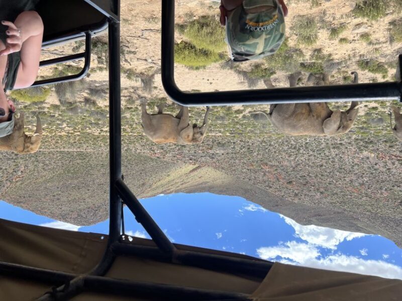 From Cape Town: Big Five Safari Experience with Lunch - Final Thoughts