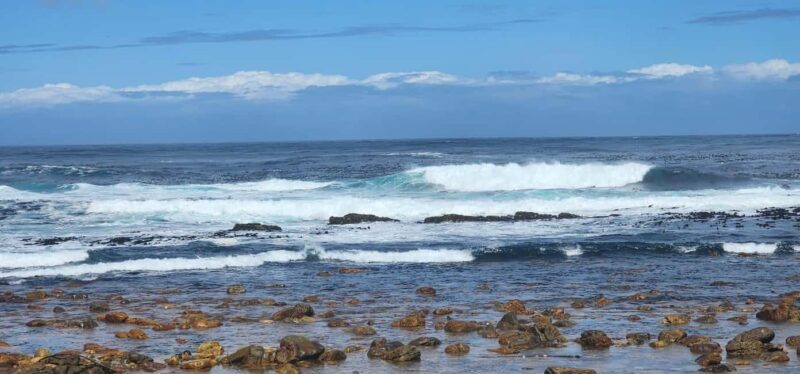 From Cape Town: Cape Peninsula Full-Day Private Tour - Key Points