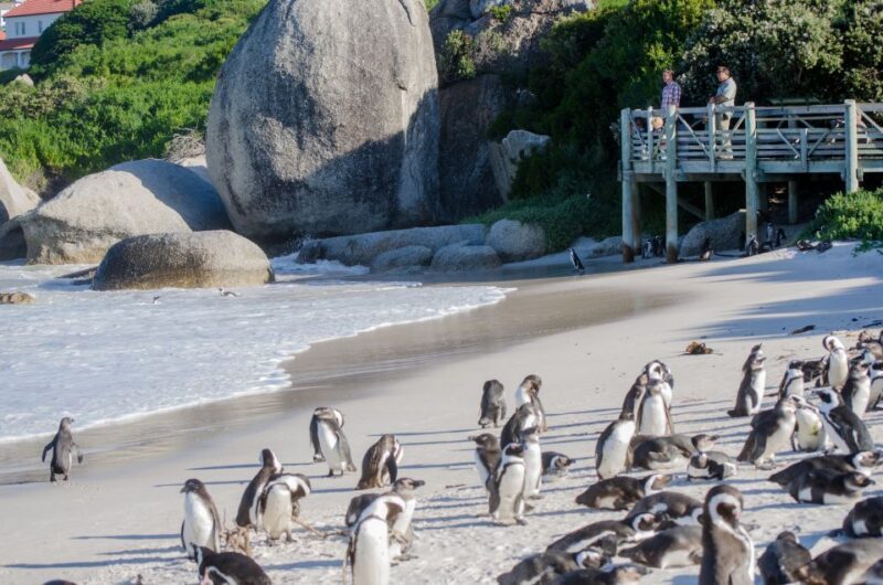 From Cape Town: Cape Point and Boulders Beach Full-Day Tour - Key Points