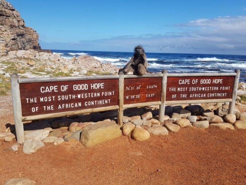 From Cape Town: Cape Point and Boulders Beach Full-Day Tour - An In-Depth Look at the Experience
