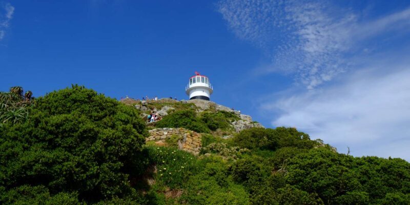 From Cape Town: Cape Point and Boulders Beach Half-Day Tour - Key Points