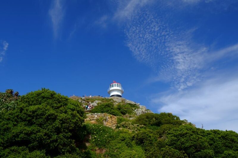 From Cape Town: Cape Point & Boulders Beach Full-Day Tour - Practical Details and Tips