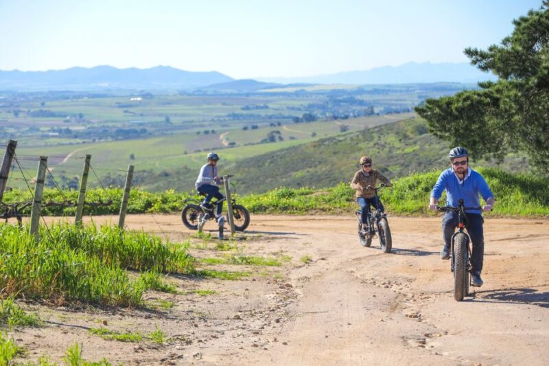 From Cape Town: E-Bike Winelands Tour - Key Points