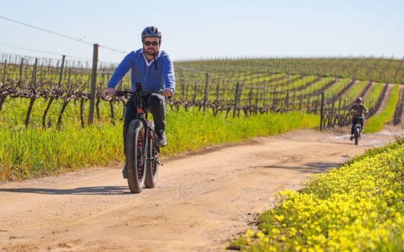 From Cape Town: E-Bike Winelands Tour - Exploring the Itinerary in Detail