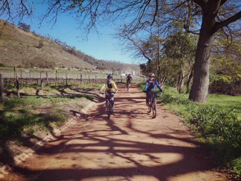 From Cape Town: Franschhoek Vineyards Bike Tour with Lunch - Key Points