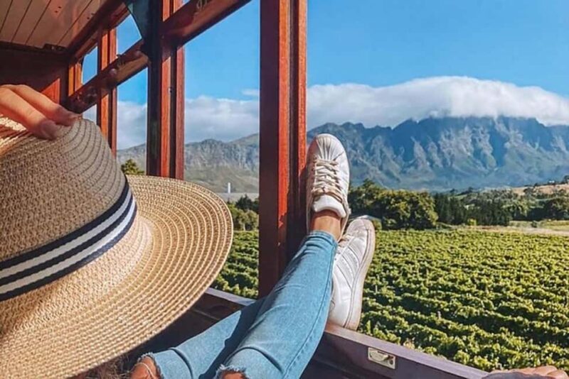 From Cape Town: Full-Day Cape Winelands Taste Tour + Tram - Key Points