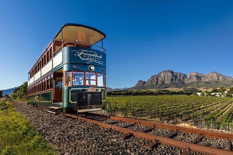 From Cape Town: Full-Day Cape Winelands Taste Tour + Tram - What to Expect on the Tour