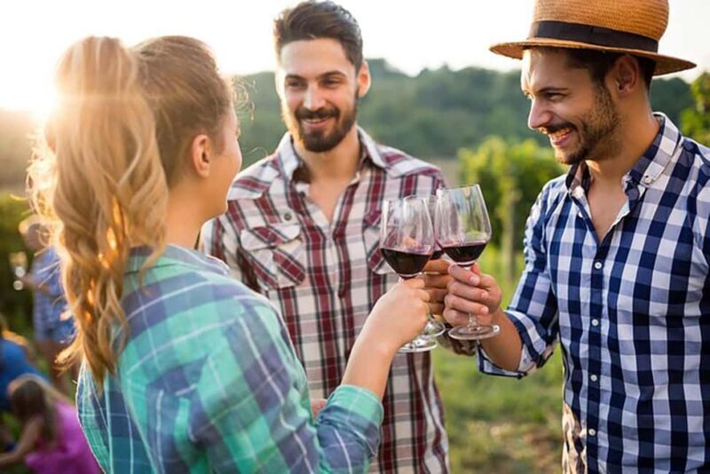 From Cape Town: Full-Day Cape Winelands Taste Tour + Tram - Authentic Experiences and Highlights