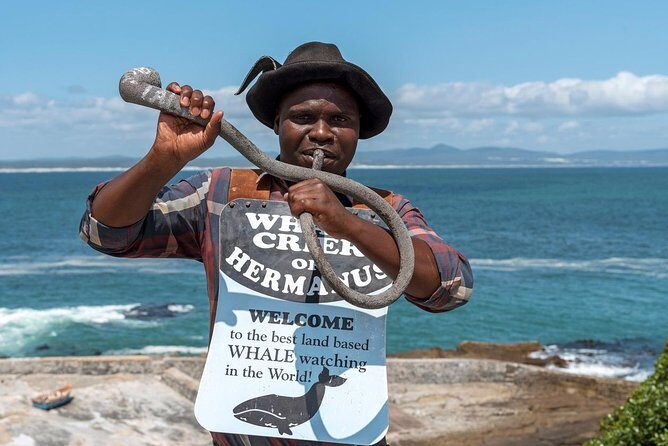From Cape Town: Full Day Guided Hermanus and Whale Tour - A Closer Look at the Tour Experience