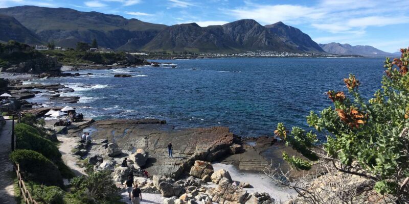 From Cape Town: Full Day Tour to Hermanus - Who Will Love This Tour?