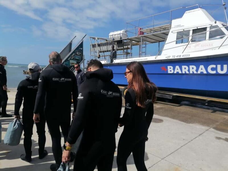 From Cape Town: Gans Bay Shark Cage Diving - Key Points