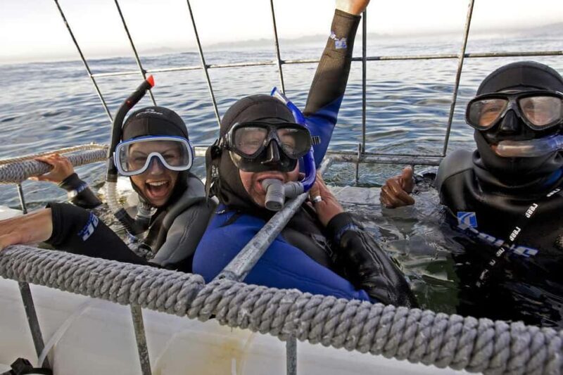 From Cape Town: Gans Bay Shark Cage Diving - Itinerary Breakdown: What Makes Each Part Special
